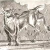 Jayakumar drawing 1